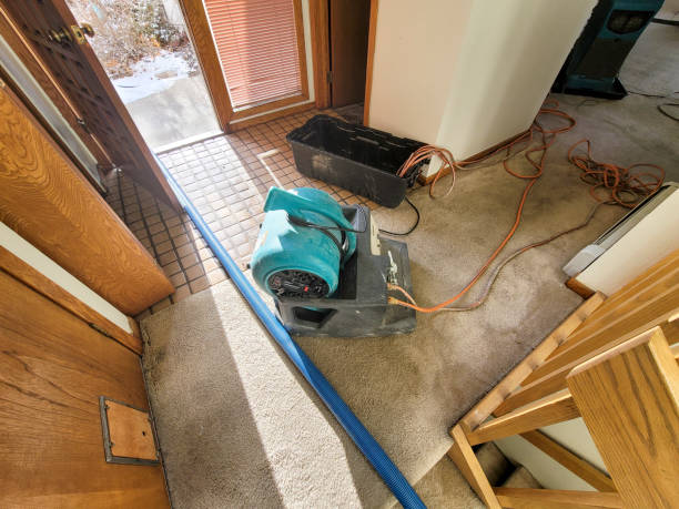  Herington, KS Water damage restoration Pros