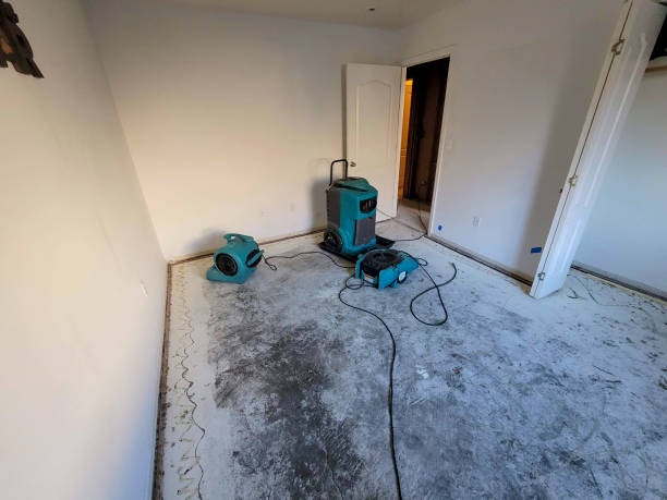 Best 24/7 water damage repair  in Herington, KS