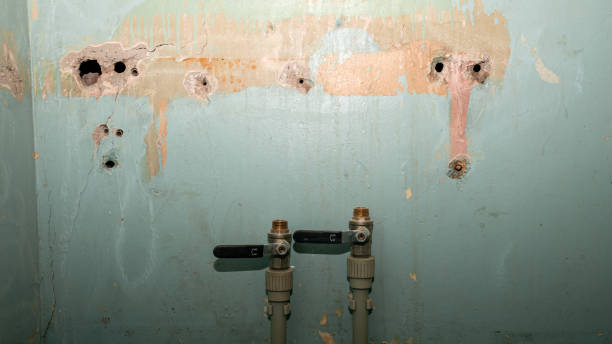 Best Mold removal after water damage  in Herington, KS