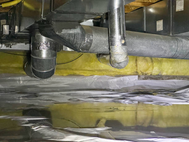 Best Mold removal after water damage  in Herington, KS