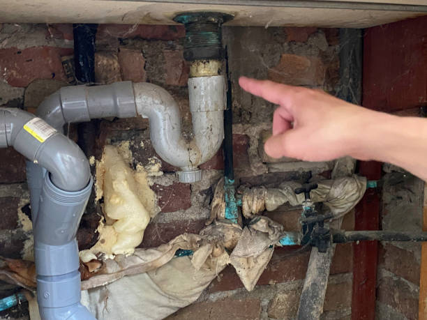 Best Flood restoration services  in Herington, KS